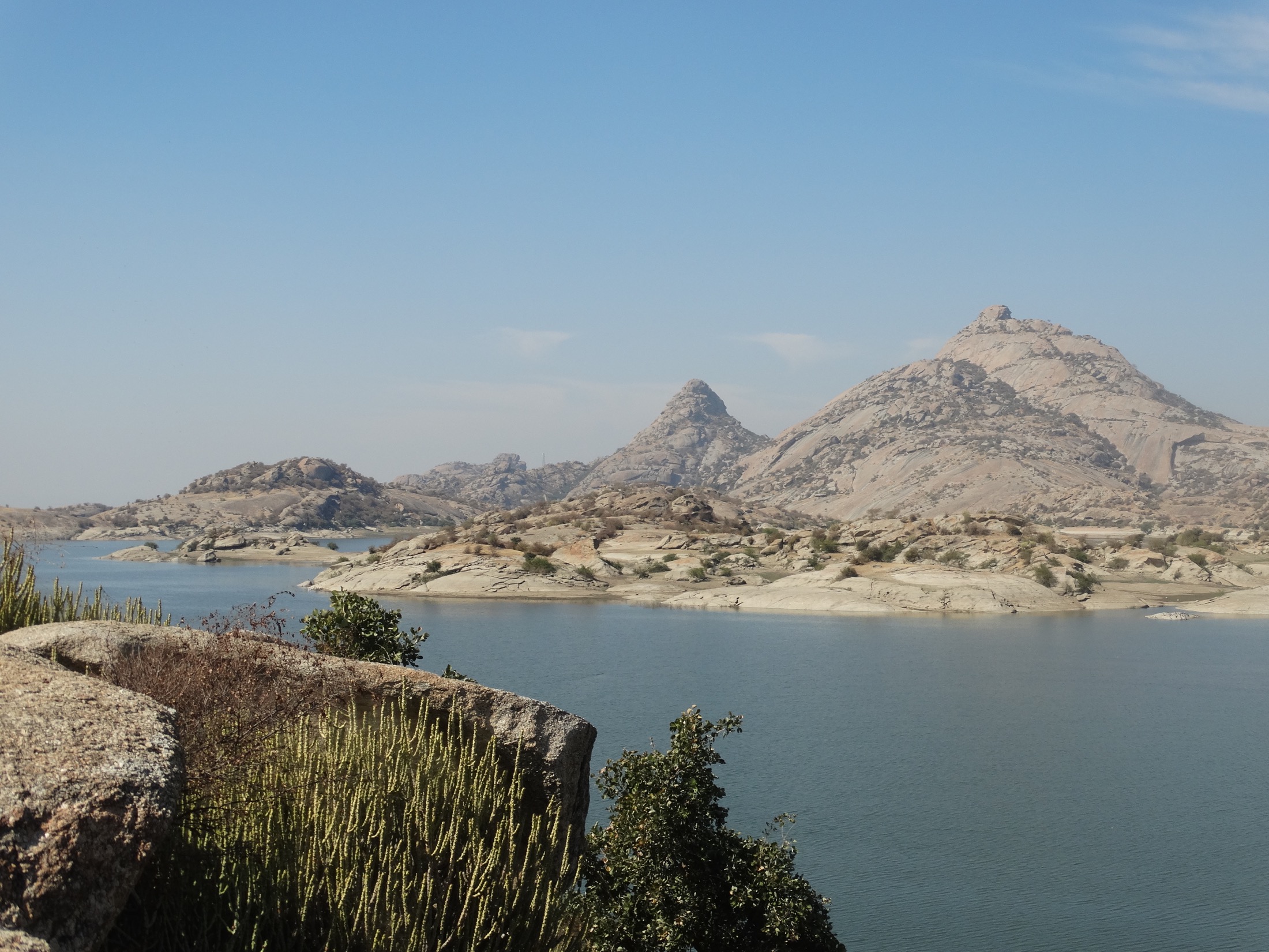 Jawai Dam and Leopard Safari tour